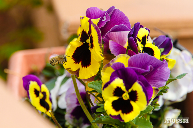 LLEGANDO A TUS PENSAMIENTOS